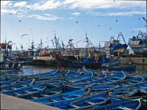 Marocco, porto di Essaouira
