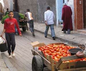 pomodori in marocco