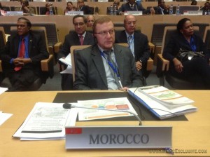 ticad, delegazione marocchina