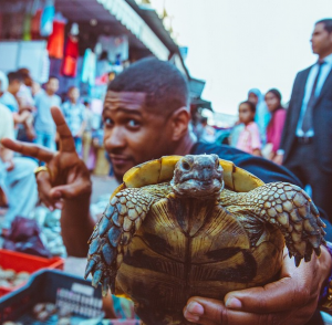Usher-mawazine-medina-turtle