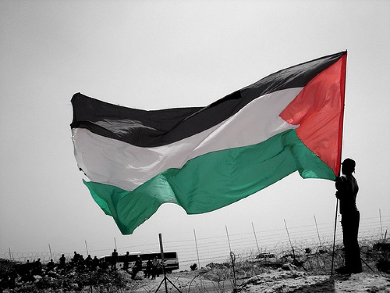 palestina bandiera paletsinese